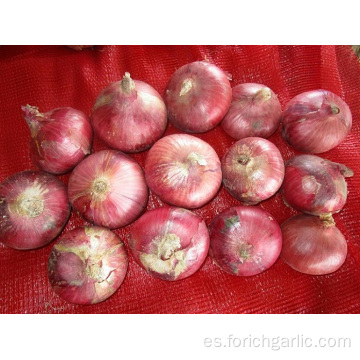 Tamaños 3.0-5.0cm Cebolla Roja Fresca